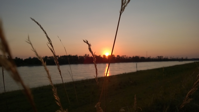 scenics - nature, blue, rhine, nature, silhouette, water, grass, landscape, sunset, cloud - sky, bank, germany, evening, beauty in nature, suspension bridge