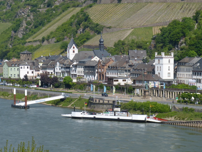 ferry, 4K, outdoors, rhine valley, nature, day, kaub, building, waterfront, plant, river, rhine, built structure, vineyard, germany, no people, transportation