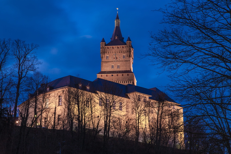 city, building exterior, building, historically, clock, swan tower, noble, blue hour, 5K, art, swan knight, swan, places of interest, bare tree, nature
