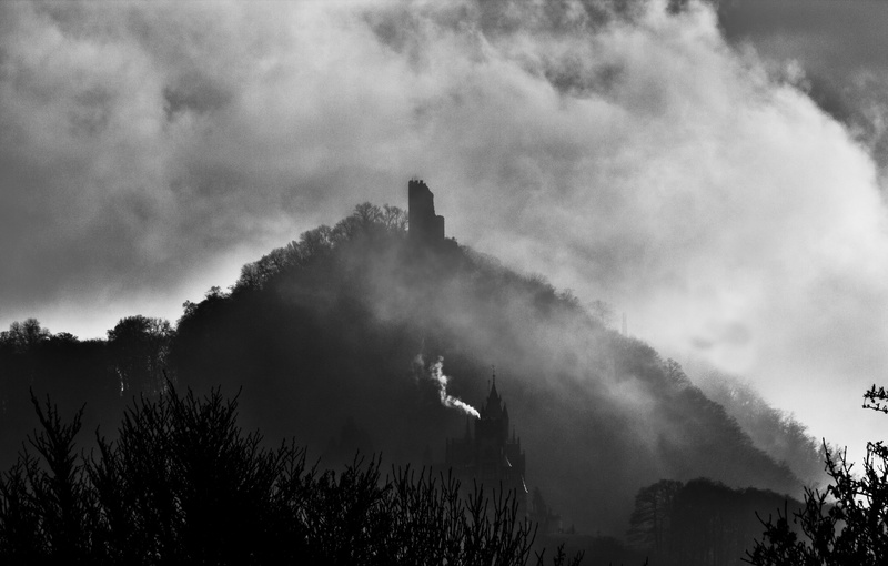plant, non-urban scene, day, environment, bonn, no people, bad honnef germany, tranquility, tower, sky, rhine, architecture, outdoors, silhouette, fog