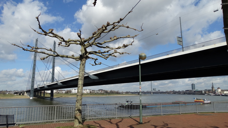 bank, rhine, blue, sea, 5K, ship, river, clouds, no people, rhine meadow, outdoors, water, landscape, bridge, transportation, architecture, tree, building exterior