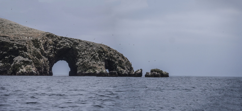 goal, waterfront, sea, felsentor, island, natural arch, pacific, guano boobies, scenics - nature, nature, water, pelikan, arch, islas ballestas, rock, seevogel