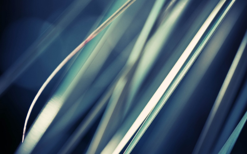 power supply, industry, long exposure, line, wallp, selective focus, indoors, science, technology, curve, shadow, fiber optic, nature, blurred motion, no people
