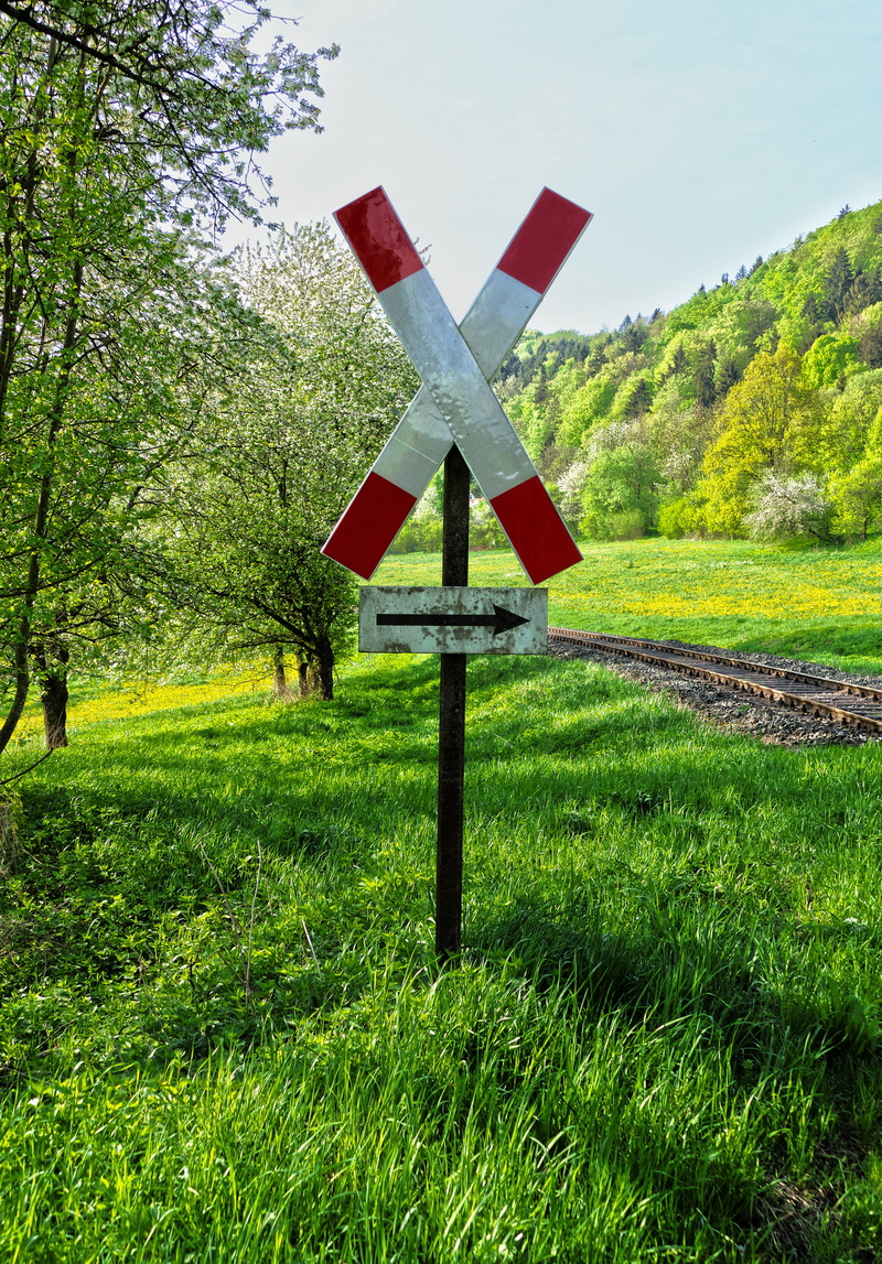 guidance, trees, old sign, environment, traffic sign, warning, 5K, meadow, andreaskreuz, land, dirty, trail, green color, cross shape, road sign, communication