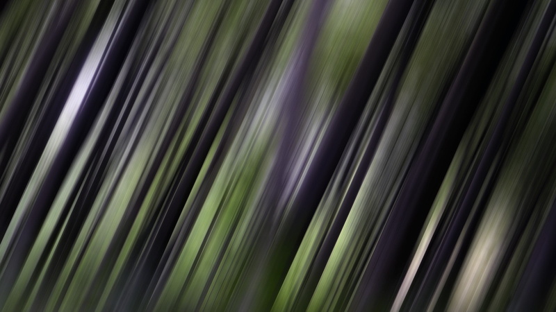 Shadow, no people, Line, close-up, leaf, palm leaf, tree, 1080P, abstract backgrounds, Background, tropical climate, full frame, natural pattern, nature