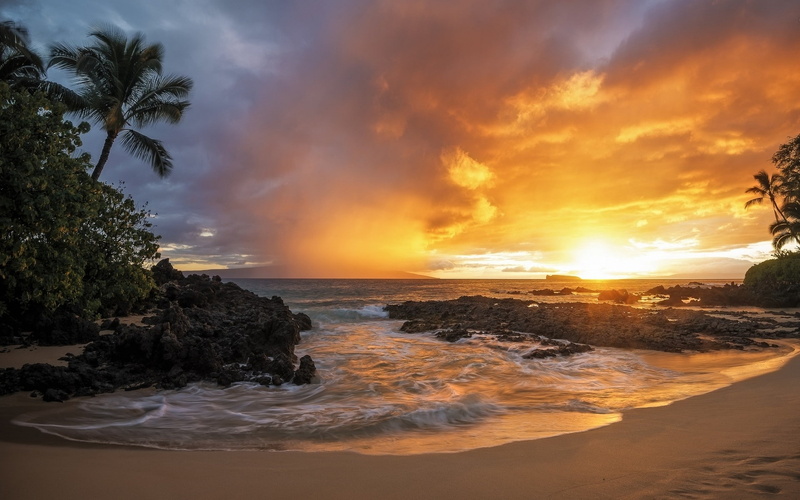 sky, power in nature, sunset, tropical climate, tranquility, cloud - sky, beauty in nature, rock, landscape, 1080P, sea, palm trees, clouds, gold, beach