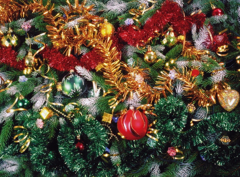 branch, green Color, gold, sphere, evergreen Tree, christmas Decoration, humor, ornate, fir Tree, indoors, gift, spruce Tree, no People, red, christmas Ornament