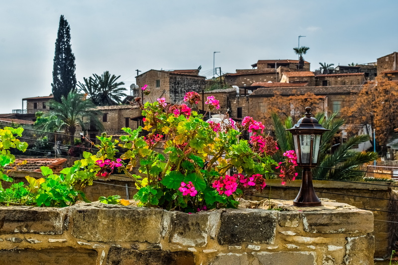 no people, built structure, freshness, growth, lamp, lighting equipment, building exterior, day, sky, tochni, architecture, outdoors, history, village