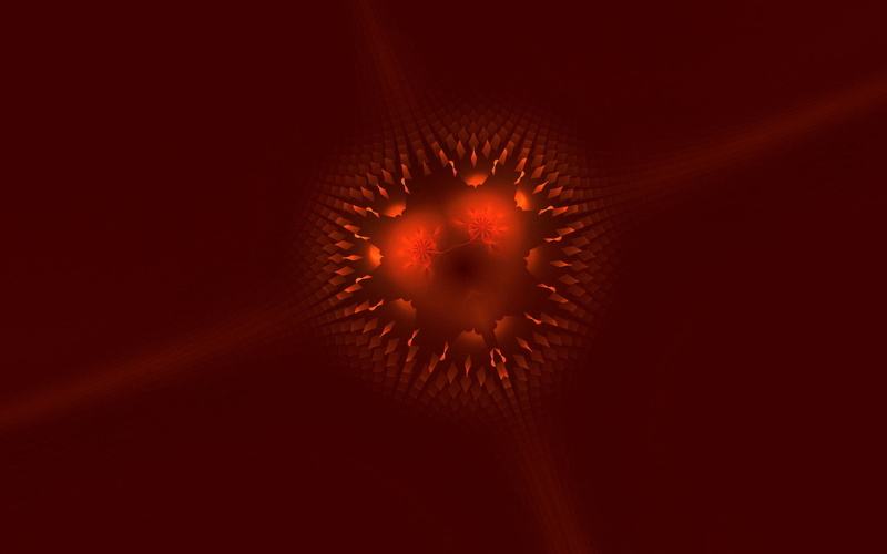 lighting Equipment, eyesight, nature, aggression, fire - Natural Phenomenon, sea life, one animal, star Shape, indoors, glowing, pattern, no people, animal wildlife