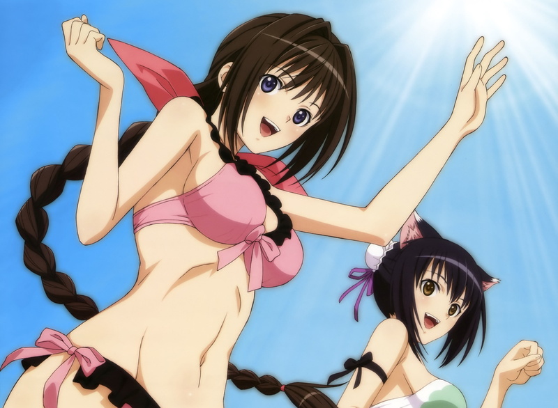 shining hearts, 4K