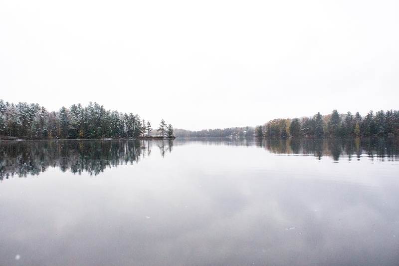 nature, 4K, tree, water, idyllic, no people, reflection lake, day, plant, waterfront, scenics - nature, reflection, torrance, canada, tranquil scene, beauty in nature