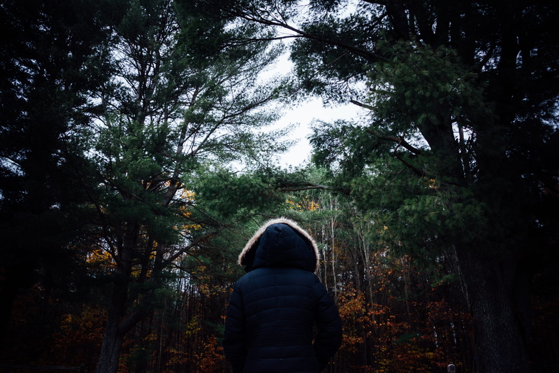 real people, torrance, one person, orange, forest, plant, unrecognizable person, rear view, canada, hood, standing, nature, camp crossroads drive, dark