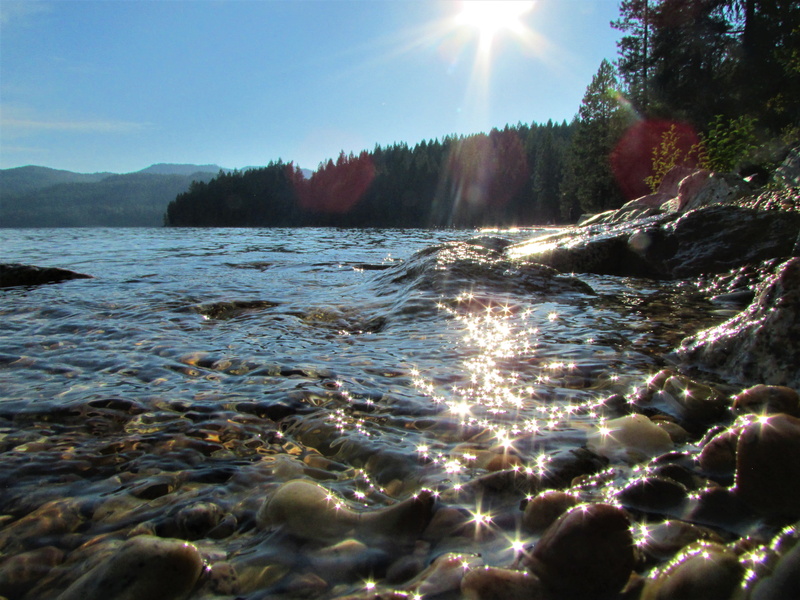 sky, sun, lake with sparkles, no people, beauty in nature, stones, trees, 4K, sunbeam, land, plant, tranquil scene, water, tree, day, light, tranquility