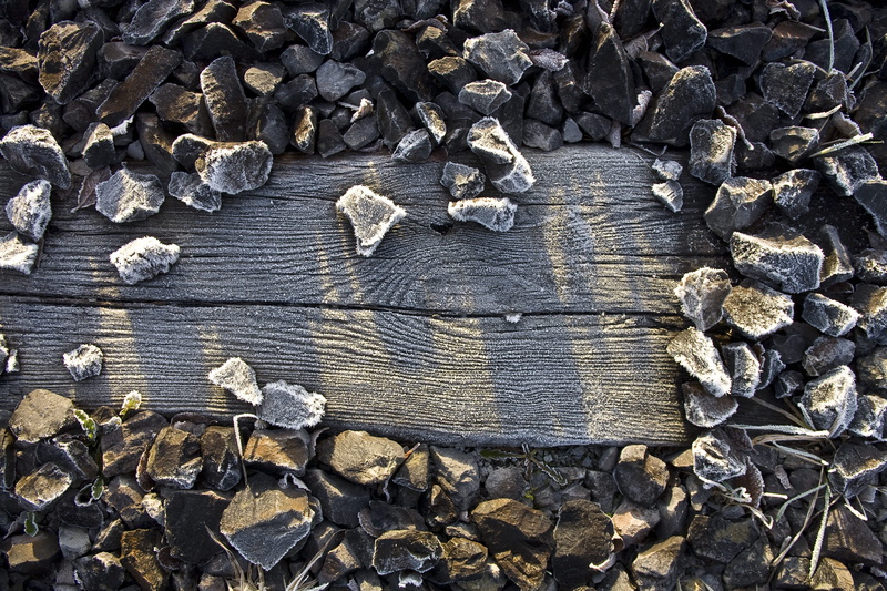 large group of objects, high angle view, close-up, directly above, grain, cold, nature, textured, 4K, backgrounds, bark, abundance, wood, frost, outdoors