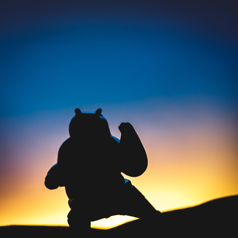 lifestyles, karate, sunset, blue, men, training, silhouette, martial arts, beauty in nature, real people, sunrise, panda, fitness, orange color, leisure activity