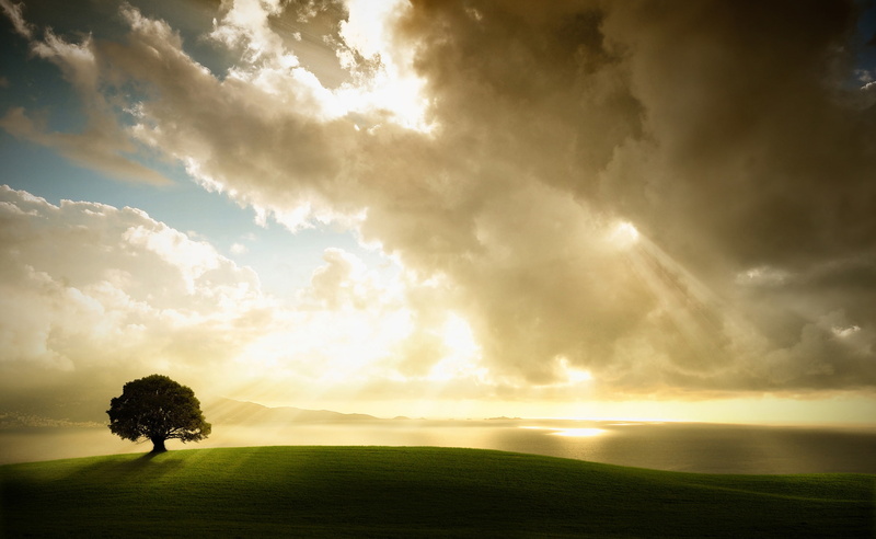cloudscape, Shining, no people, sunset, sunlight, black, field, sky, horizon over land, scenics - nature, Clouds, Through, grass, horizon, tree, Nature