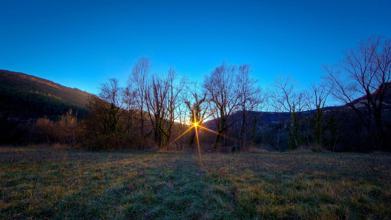 field, tree, green, 2K, sun, trees, sunshine, 2560x1440, shining, nature, grass