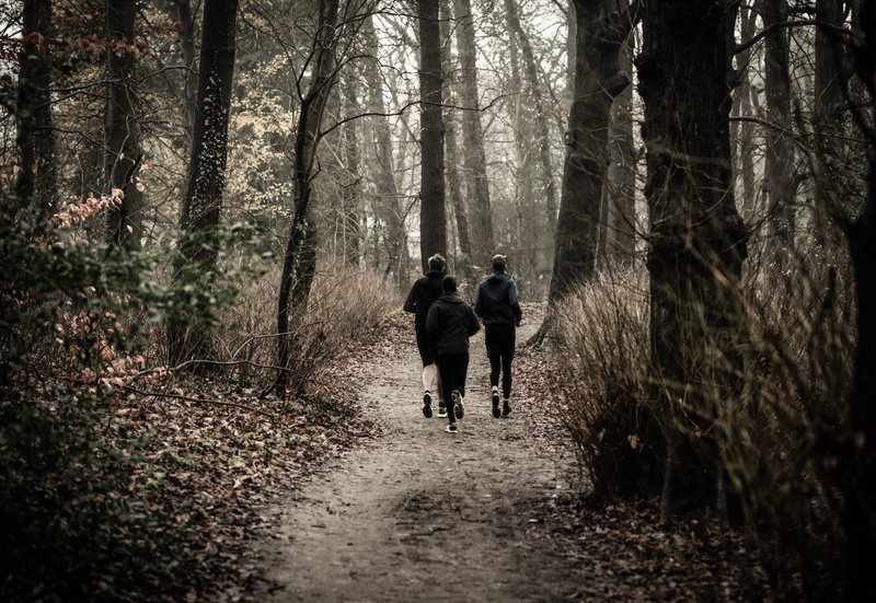 photography, woodland, way, pathway, dirt road, people, footpath, forest, environment, day, women, trees, park, walking, men, the way forward, landscape