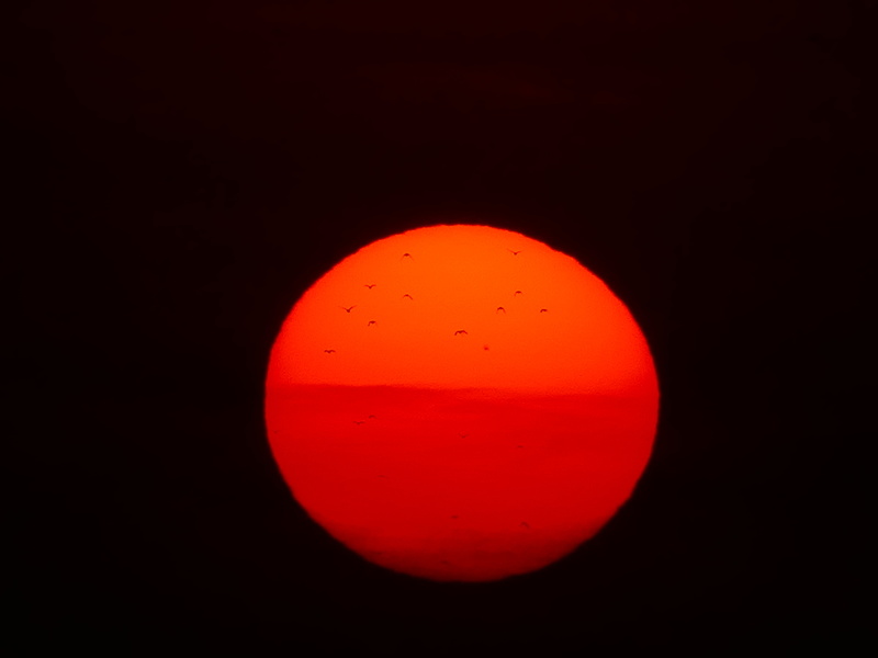 fireball, sky, close-up, night, science, blinding, birds, sunset, red, food, heat, studio shot, geometric shape, sun, solar disk, evening, shape, no people