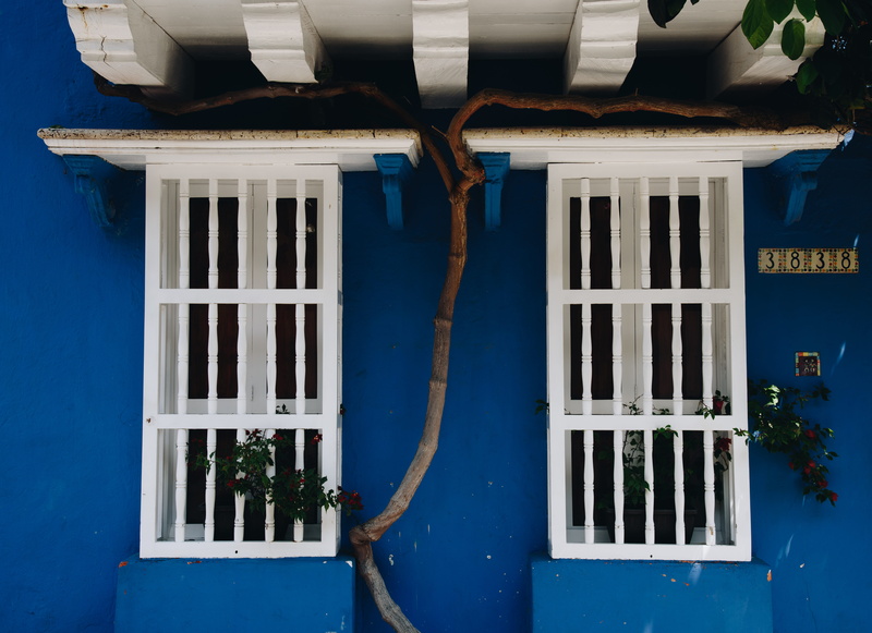 plant, walls, banister, outdoors, porch, building, house, shutter, railing, building exterior, grilles, wall, window shade, colors, pipe - tube, window