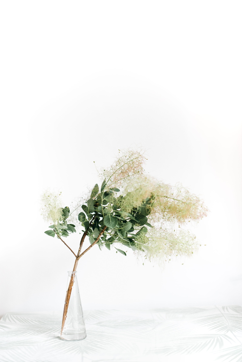 freshness, close, no people, photography, nature, studio shot, plant, flower pot, leaf, table, flowering plant, growth, flower, copy space, bouquet, home decoration