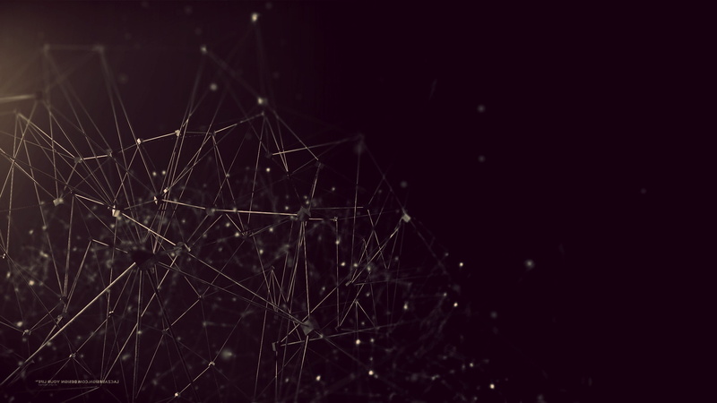 dark, beauty in nature, pattern, complexity, no people, copy space, spider web, 2K, focus on foreground, fragility, nature, dew, wet, plant, tranquility