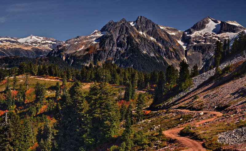 beauty in nature, Canada, British Columbia, elfin lakes, road to happiness, winter, snow, environment, tranquility, mountain peak, mountains, road, tree