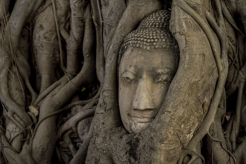representation, history, architecture, statue, culture, intertwined, male likeness, thailand, buddha, ancient civilization, ancient, place of worship, 4K
