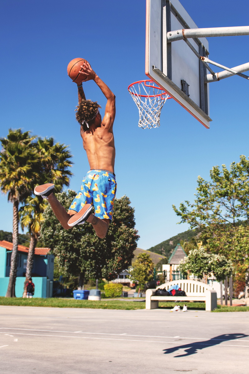 plant, men, basketball - sport, sport, athletic, jumping, motion, palm tree, muscle, ring, dunking, street ball, dunk, ball, basketball hoop, mid-air, 8K