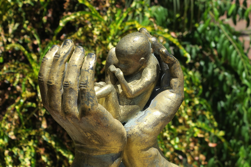 santo domingo, nature, no people, live, day, focus on foreground, protection, intertwined, creativity, church, fetus, reborn, close-up, green color, sculpture