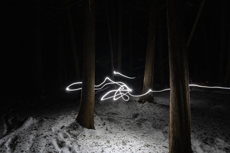 motion, speed, night, illuminated, grove, ligh, 5K, tree, light - natural phenomenon, camping, tree trunk, woodland, flooring, vegetation, plant, light painting