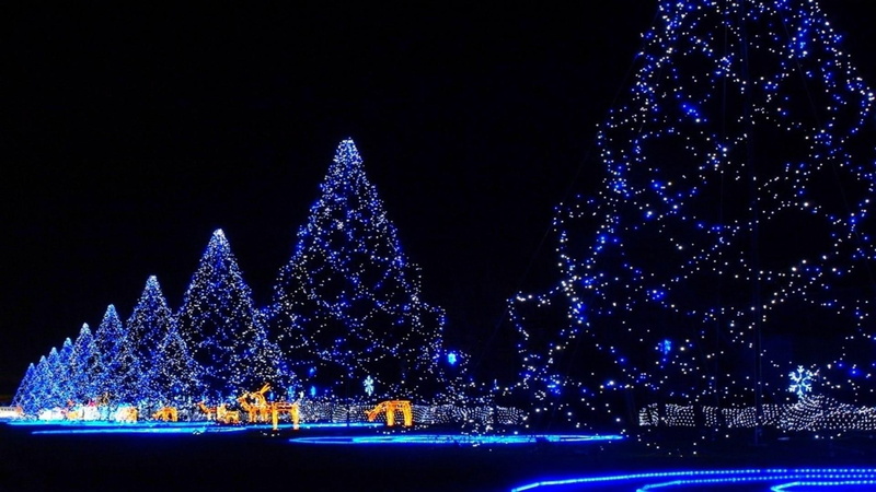 celebration, xmas, christmas, 1080P, lights, christmas lights