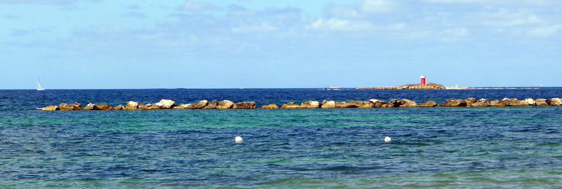 group of animals, horizon over water, rocks, water, mediterranean, day, Lighthouse, beauty in nature, vertebrate, seascape, nature, animal, Sea, waterfront