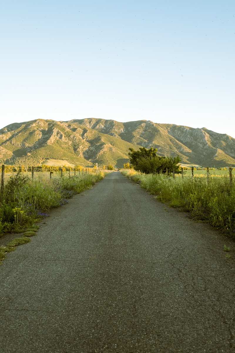 day, grass, beauty in nature, road, sardegna, nature, tranquil scene, daylight, sky, hills, non-urban scene, transportation, the way forward, direction
