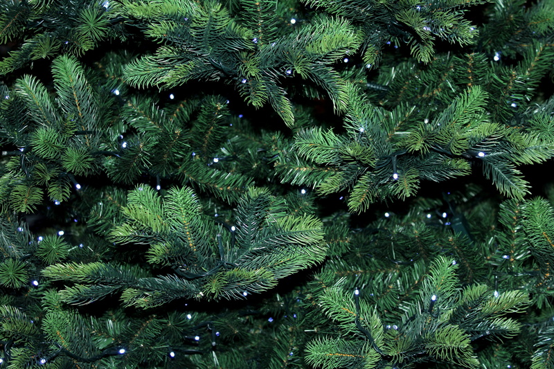 green color, growth, twigs, coniferous tree, 5K, texture, beauty in nature, full frame, day, green, needle - plant part, holidays, iglak, no people, fir tree