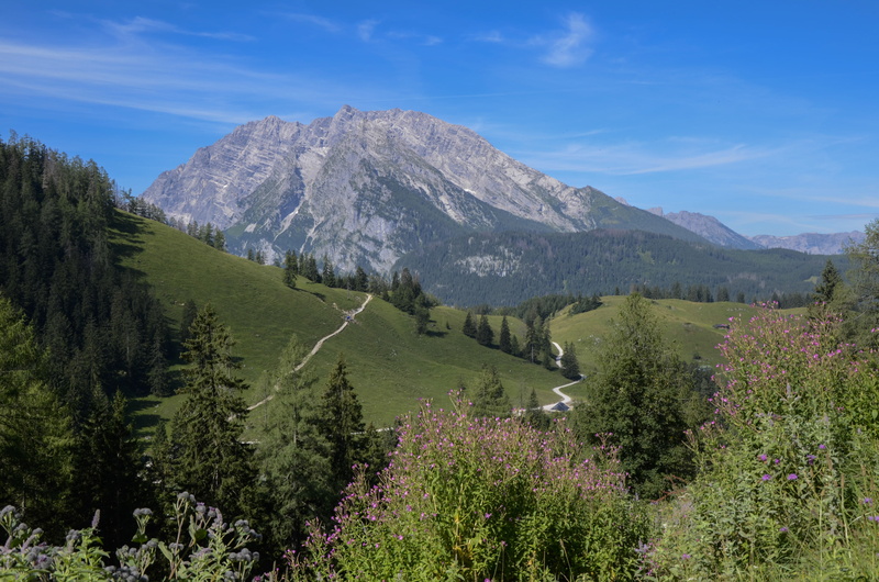 environment, Mountain, plant, massif, tree, Alpine, nature, land, Watzmann, outdoors, 4K, green color, non-urban scene, scenics, berchtesgaden alps, mountain peak