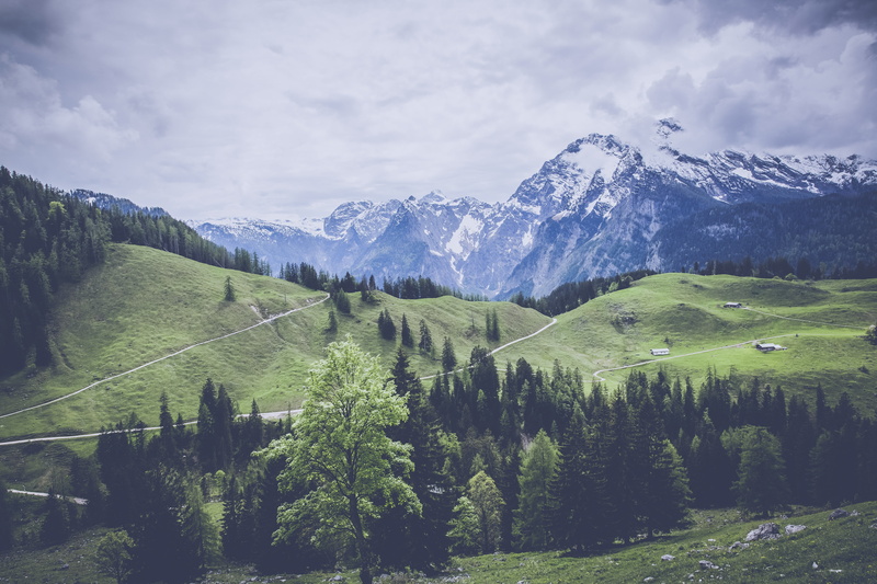 beauty in nature, growth, outdoors, pine, watzmann, hiking, mountaineering, cloud - sky, glacier, coniferous tree, mountain pass, scenics, idyllic, no people