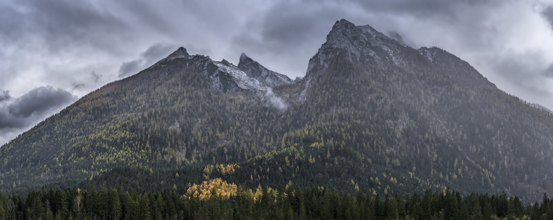 pine tree, non-urban scene, horizon, white, pine woodland, coniferous tree, woodland, landscape, mountain peak, cloud - sky, alps, conifer, plant, wanderlust