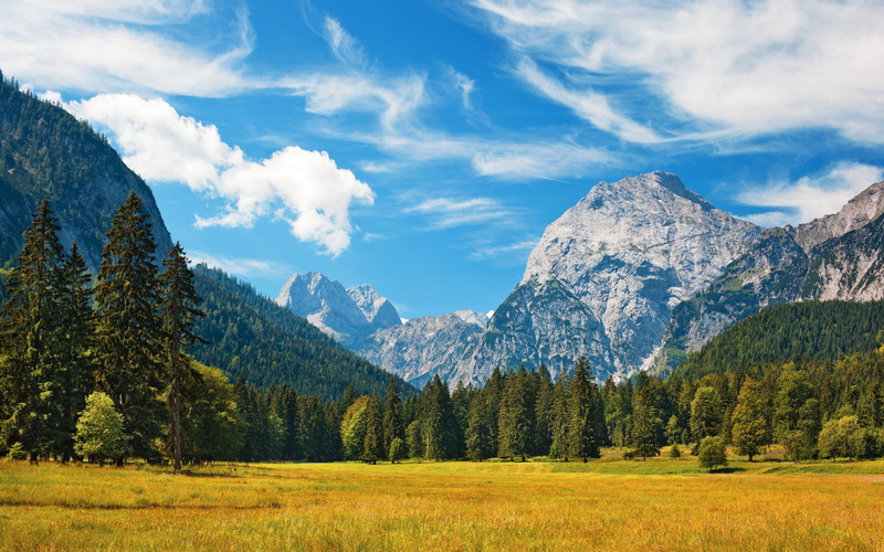 Fields, Alps, 2K, Grass, Trees, Clouds, Sky, Bavarian