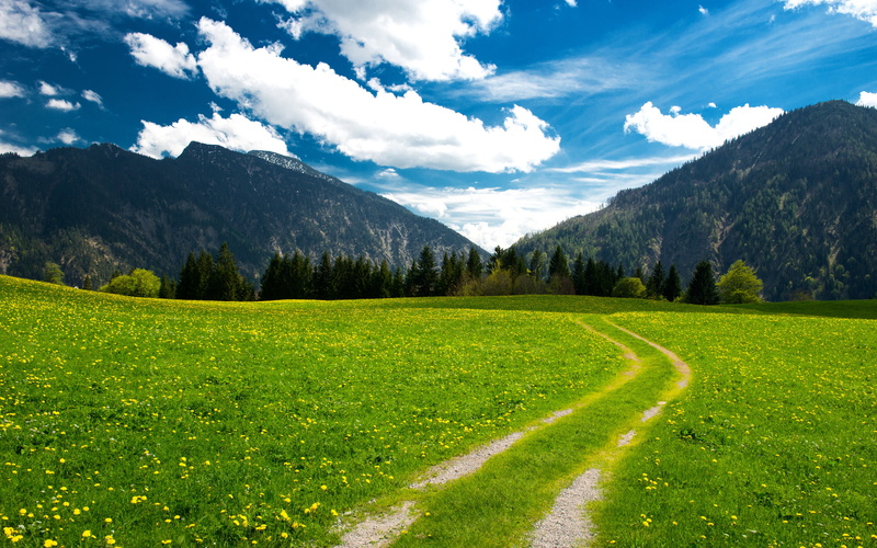 alps, sky, pasture, mountains, bavarian, clouds, trees, landscape, 2K