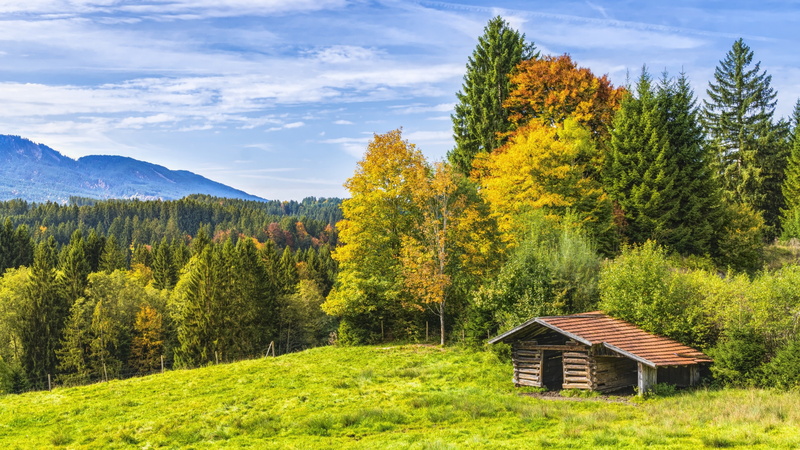 wilderness, nature, bavarian alps, alps, mountain, autumn, germany, tree, 4K, bavaria, hut, grassland, hill, log cabin, cabin, sky
