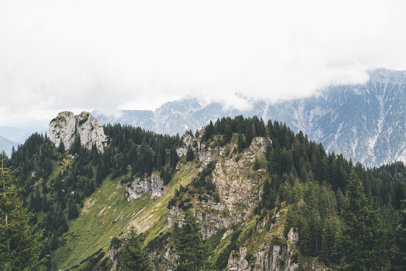 no people, beauty in nature, mountain range, fog, bavarium, forest, tree, coniferous tree, mountain, brown, growth, tranquil scene, panoramic view, sky