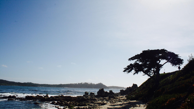 day, nature, sea, 4K, land, tranquil scene, glory, carmel, copy space, rock, rock - object, scenics - nature, tree, plant, s, sky, beauty in nature, outdoors