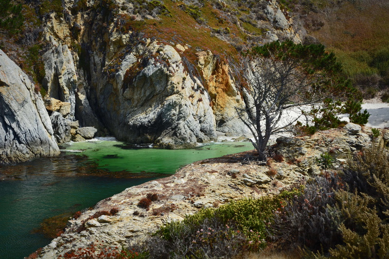 tree, rock, flowing, pacific, water, plant, china cove, monterey, scenics - nature, california, ocean shore, tranquil scene, rocks, river, eroded, rock - object