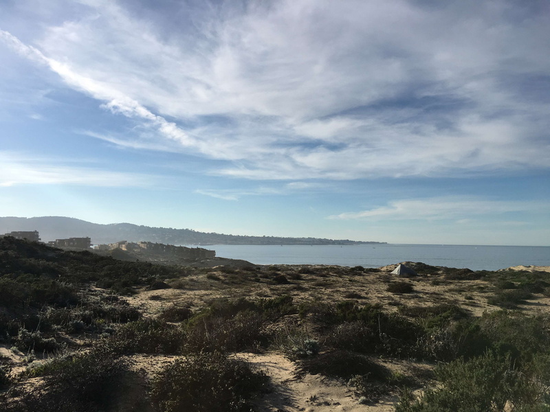 day, scenics - nature, monterey bay, no people, plant, outdoors, beauty in nature, land, tree, nature, tranquil scene, cloud - sky, ocean, carmel, usa