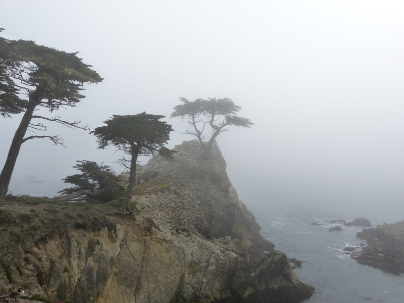 beauty in nature, 4K, outdoors, tranquil scene, no people, sky, nature, non-urban scene, fog, 7 miles drive, tranquility, rock, day, scenics - nature
