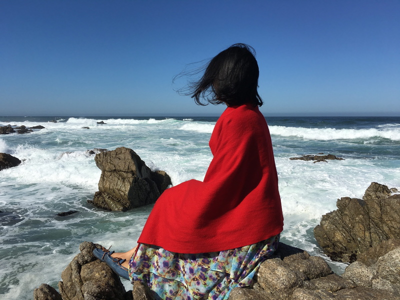 looking at view, solid, scenics - nature, color Image, outdoors, rear view, Route, woman, rock - Object, coast, one Person, hairstyle, beach, wave, women