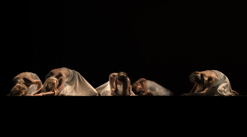 wearing, pose, performance, white, kneeling, group of objects, floor, people, posing, lion - feline, indoors, primate, grace, black, studio shot, dark