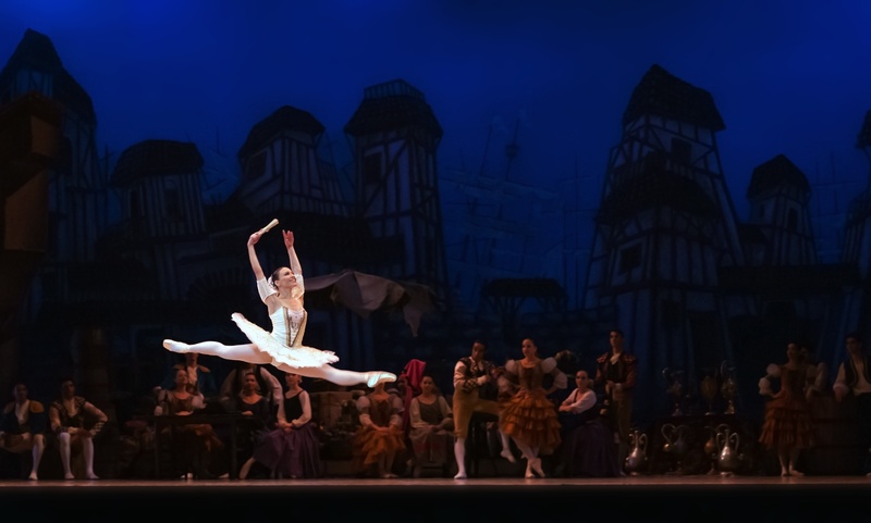 ballerina, group of people, architecture, stage - performance space, arts culture and entertainment, don quixote, jumping, crowd, human limb, dancer, night