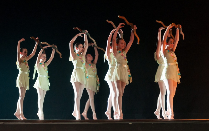 teresa carreño theatre, females, ballet dancer, ballerina, elegant, human arm, youth, arms raised, body part, movement, ballet, girls, don quixote, 2K
